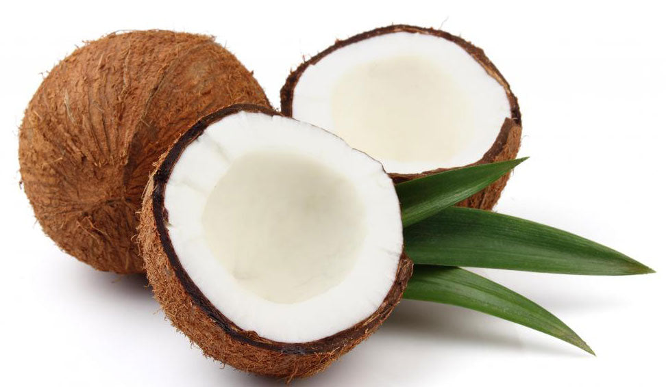 COCONUT, WONDROUS COCONUT