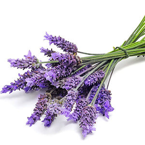 Lavender 100% Pure Essential Oil