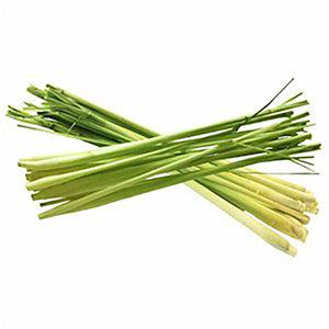 Lemongrass 100% Pure Essential Oil